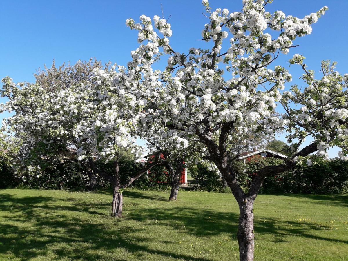 Mellomgarden Βίλα Norra Lundby Εξωτερικό φωτογραφία